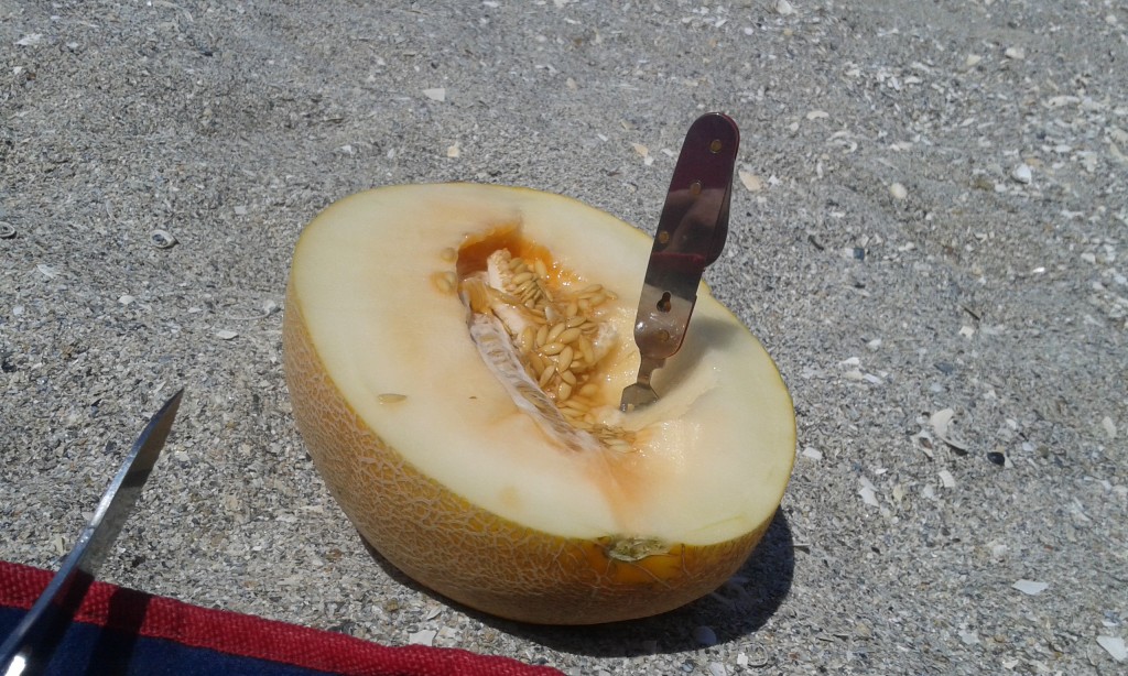 rumunia-targ-melon-rumunia
